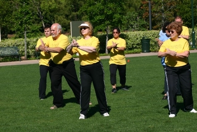 World Tai Chi Day 2010 T-Shirt Photo