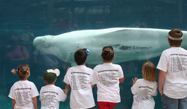 Picture of Grandpa's 60th Birthday Weekend Custom T-Shirt Design Grandpa's 60th Birthday Weekend T-Shirt Photo