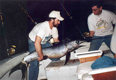 Spunky Swordfish T-Shirt Photo
