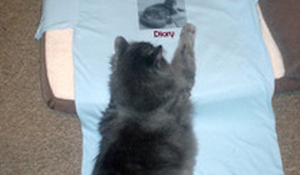 Picture of The Boss Approves The Gentleman T Shirt Custom T-Shirt Design The Boss Approves The Gentleman T Shirt T-Shirt Photo