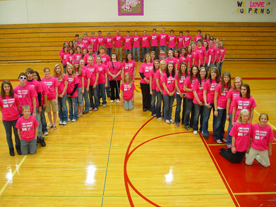 Turtle Lake High School Digs Pink T-Shirt Photo