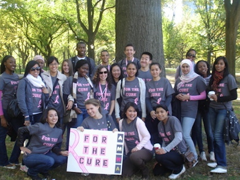 Amwa Makes Strides Against Breast Cancer T-Shirt Photo