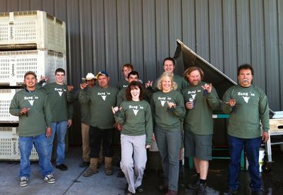 Elk Cove Harvest Crew 2010 T-Shirt Photo