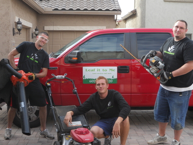 Leaf It To Me  T-Shirt Photo