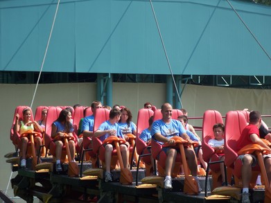 Diamondback T-Shirt Photo