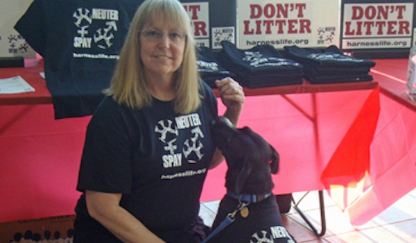Picture of Lola (Pup) Says "Be Part Of The Solution: Spay & Neuter!" Custom T-Shirt Design Lola (Pup) Says "Be Part Of The Solution: Spay & Neuter!" T-Shirt Photo