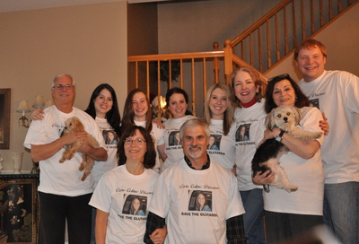 Cure Celiac Disease T-Shirt Photo