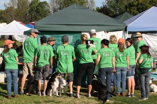 Usual Suspects Flyball Club T-Shirt Photo