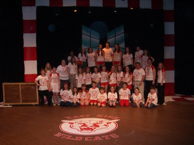 Go Wildcats! T-Shirt Photo