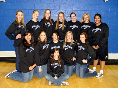 Fountain Hills Falcons Basketball T-Shirt Photo