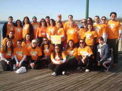 The Fireflies   "Shedding Light On Ms" T-Shirt Photo