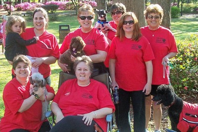 Team Wild Poodles At Ms Walk 2007 T-Shirt Photo