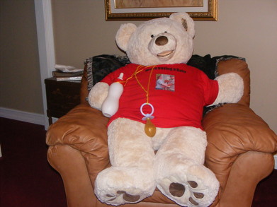 custom teddy bear shirt