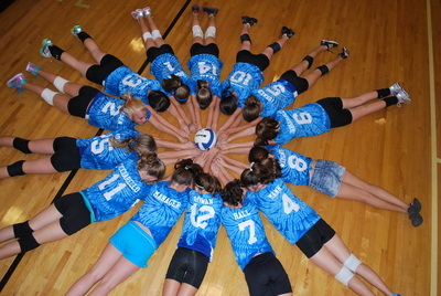 Mustang Mania T-Shirt Photo