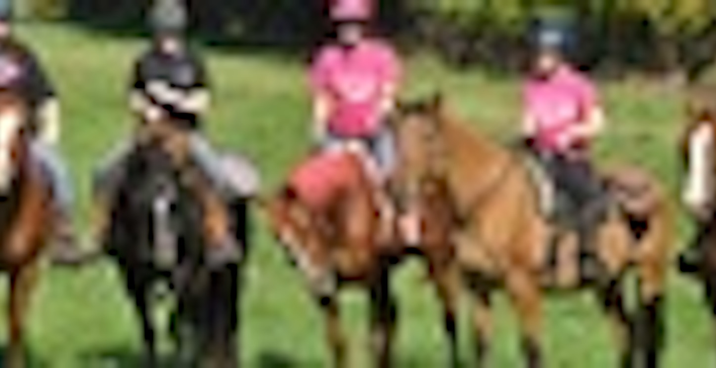 Flying K Farm Riding For The Cure T-Shirt Photo