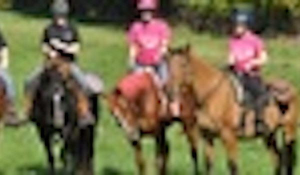 Flying K Farm Riding For The Cure T-Shirt Photo