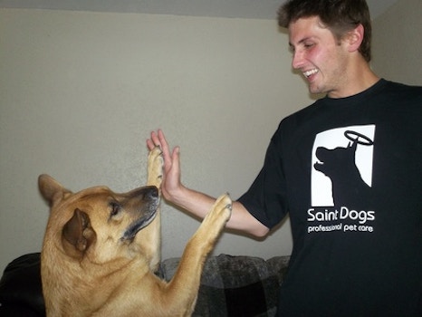 Saint Dog Likes The New Xlt's T-Shirt Photo