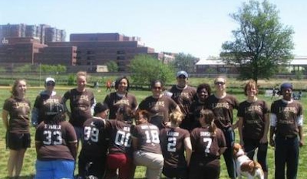 Picture of Ligers Ligers Ra Ra Roar!!! Custom T-Shirt Design Ligers Ligers Ra Ra Roar!!! T-Shirt Photo