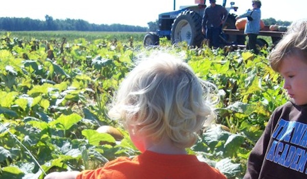 In The Pumpkin Patch T-Shirt Photo