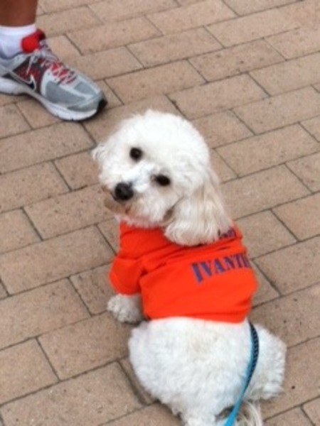 Thanks For Participating In Vision Walk 2012, Lucky! T-Shirt Photo