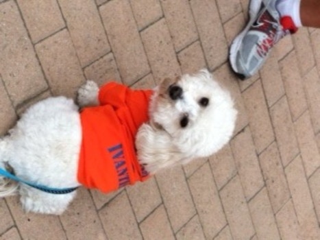 Thanks For Participating In Vision Walk 2012, Lucky! T-Shirt Photo