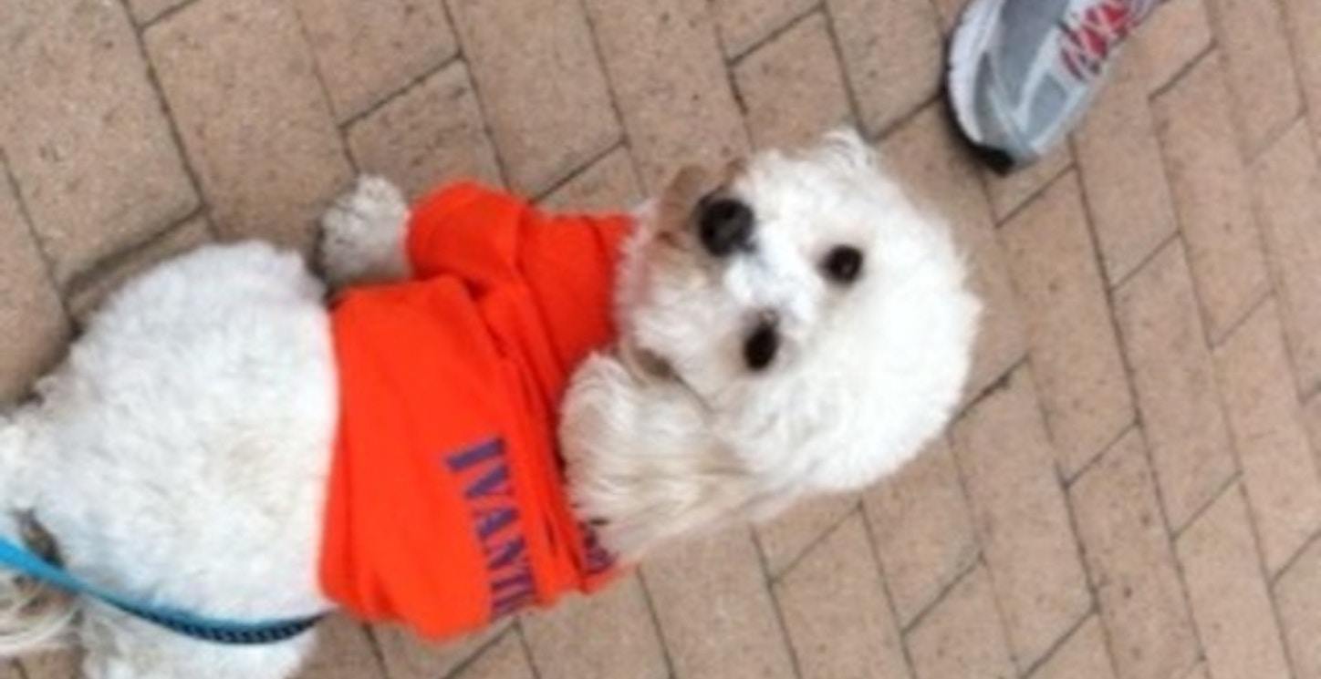 Thanks For Participating In Vision Walk 2012, Lucky! T-Shirt Photo