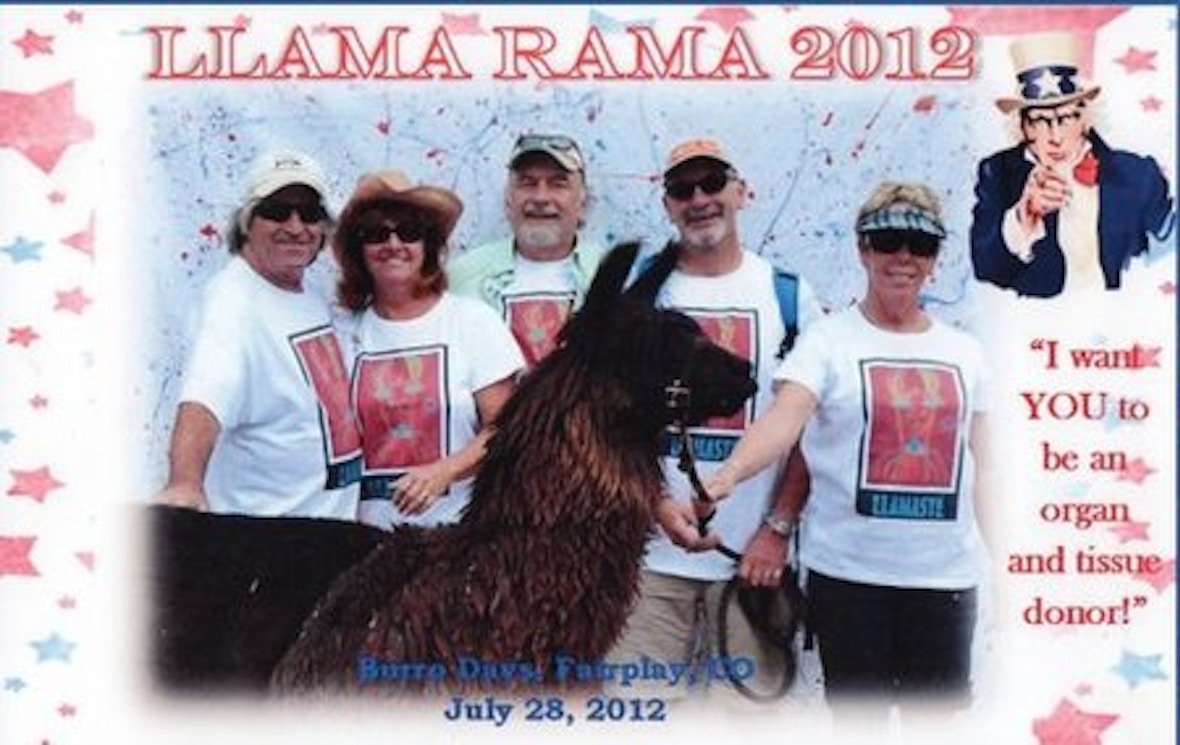 Llamaste   Llama Races 2012 T-Shirt Photo