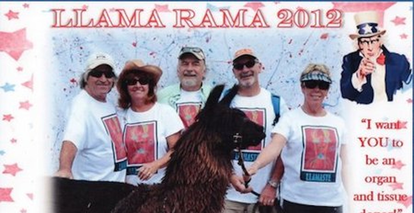 Llamaste   Llama Races 2012 T-Shirt Photo