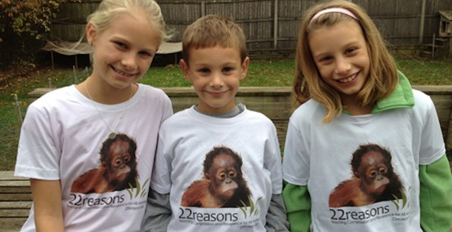 Helping Orangutans T-Shirt Photo