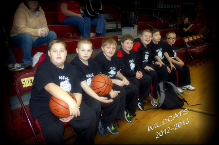 Wildcats T-Shirt Photo