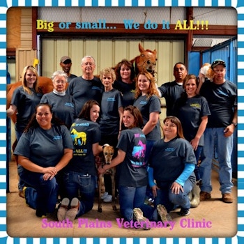 Big Or Small...We Do It All!!! T-Shirt Photo