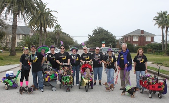 Barkus And Meoux Parade, Galveston 2013 T-Shirt Photo