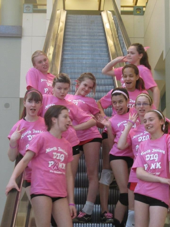 Dig Pink Volleyball Msp Convention Center T-Shirt Photo