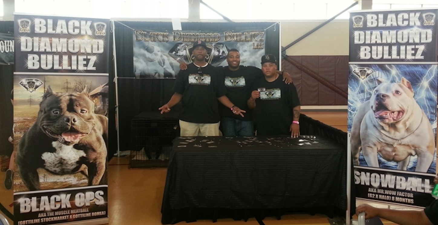  Have A Blast At The Dog Show With Our Custom Ink T Shirts On.. T-Shirt Photo