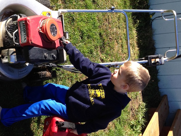 Tiger Power T-Shirt Photo