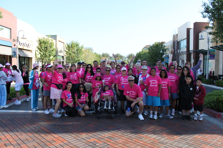Making Strides Cancer Walk T-Shirt Photo