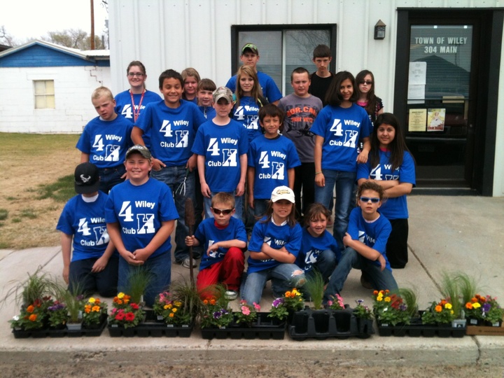 Wiley 4 H Club T-Shirt Photo