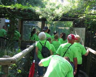 Zoo Day T-Shirt Photo