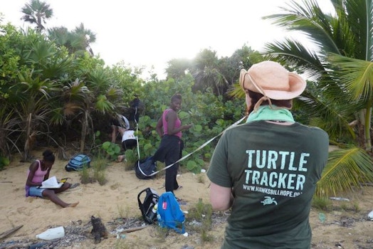 Turtle Trackers In Belize! T-Shirt Photo