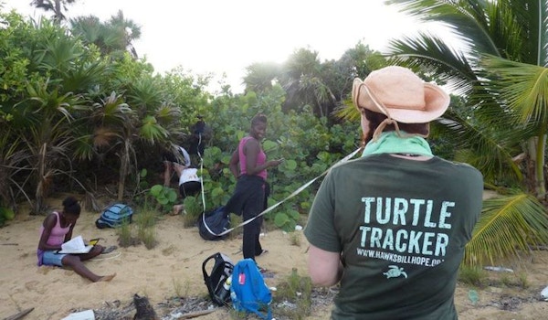 Turtle Trackers In Belize! T-Shirt Photo