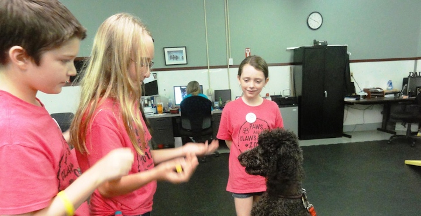 Dog Training At Paws And Claws Camp T-Shirt Photo