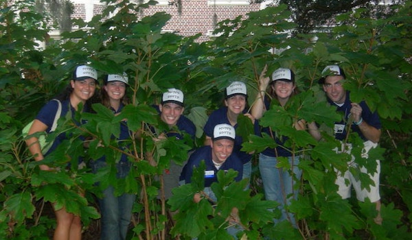 Picture of Meet Your Ra! Custom T-Shirt Design Meet Your Ra! T-Shirt Photo