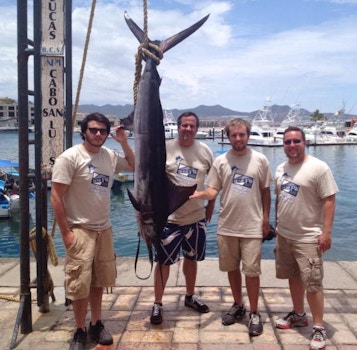 Our Cabo Fishing Adventure 2013, 150 Lb. Marlin T-Shirt Photo