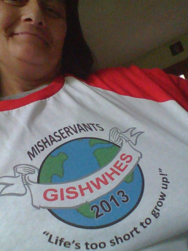 Gishwhes 2013 T-Shirt Photo