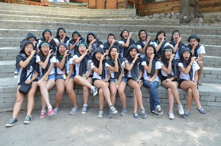 Hard At Work T-Shirt Photo