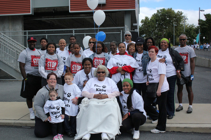 Step Out Walk To Stop Diabetes Kitty Kats T-Shirt Photo