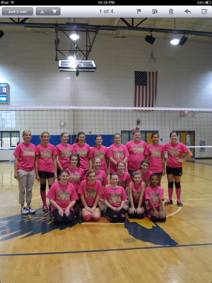 Volleyball Pink Out Game T-Shirt Photo