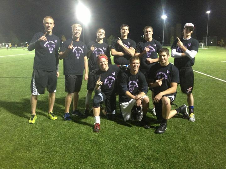 The Frisky Dingos T-Shirt Photo