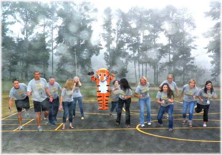 Ti Ge R Ma Ni A!! T-Shirt Photo