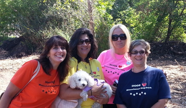 Picture of Dog Pals At The Park! Custom T-Shirt Design Dog Pals At The Park! T-Shirt Photo